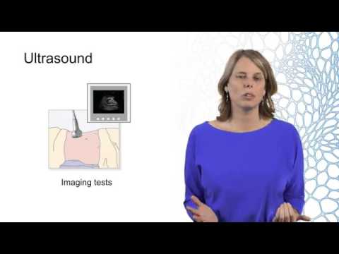 Lecture 3-1: Introduction & Overview early challenges in transplantation