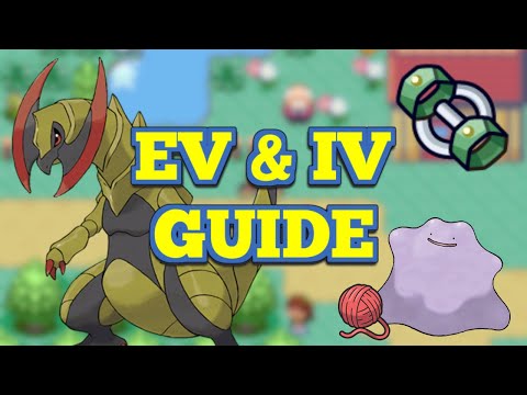 What are EVs and IVs? | Pokemon