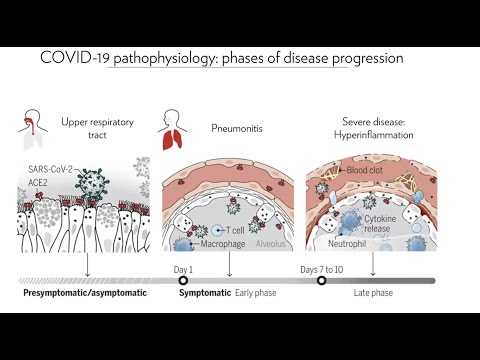 BRCCH | B Cell Immunity in COVID-19 Patients with Aim of Identifying Antibodies Against SARS-CoV-2