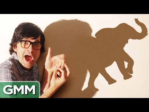 The Shadow Puppet Challenge Video