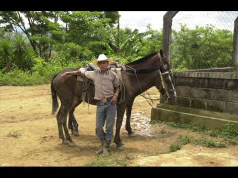 Charanga campesina