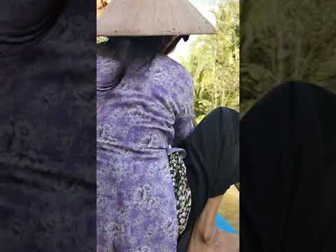 MEKONG DELTA (MY THO-BEN TRE) - IN THE RIVER