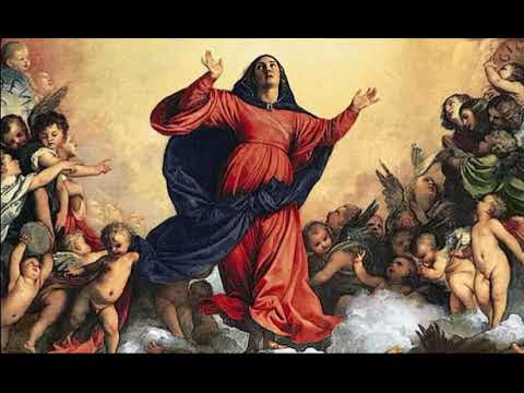 12.8.2020. Velika Gospa - vlč. Ramos