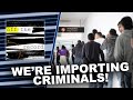 Canada welcomed 17,000 foreign criminals under Trudeau
