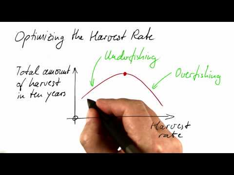 Optimization - Differential Equations in Action