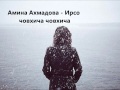 Амина Ахмадова - Ирсо човхича 