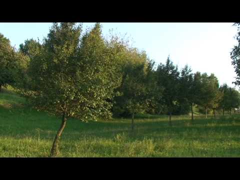Maramures,Sisesti - Summer Trip from Surdesti to Plopis (HD).m2ts