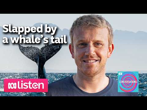 Barry McGovern discovers the good and bad of whale research ABC Conversations Podcast