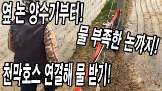 모내기 한 논에 흙이 드러날 정도로 심각한 가뭄...옆 논 양수기부터 물 보족한 논까지 천막호스 연결해서 물…