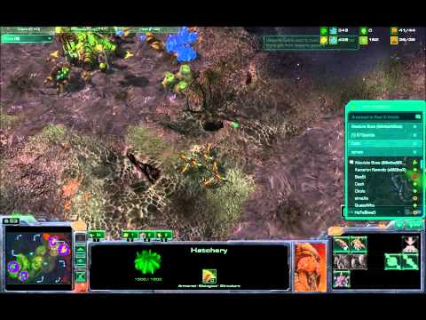 Cast: ZvZ Ibibaasfuts[Grandmaster] vs TQ Sunshine[Master]