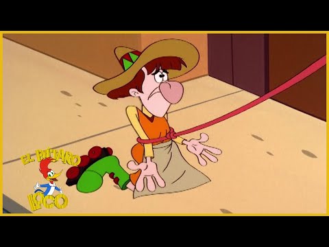 El Pájaro Loco en Español | Super Woody | Caricaturas para Niños