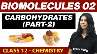 Biomolecules 02 : Carbohydrates (Part-2) | Class 12 NCERT
