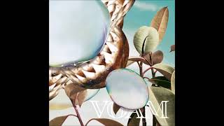 Rhyw - Suppli Crush [VOAM014]