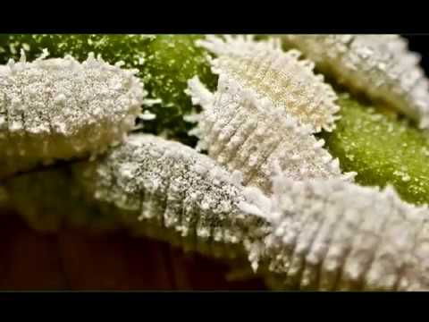 ASMEC 2017 Research Highlights