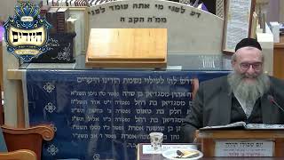 הרב יהושע ויזגן מסכת חולין דף סג עמוד א' (בית הכנסת מוסאיוף) - התמונה מוצגת ישירות מתוך אתר האינטרנט יוטיוב. זכויות היוצרים בתמונה שייכות ליוצרה. קישור קרדיט למקור התוכן נמצא בתוך דף הסרטון