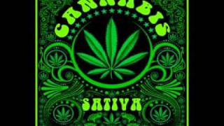 Cannabis Sativa Cartel de Santa
