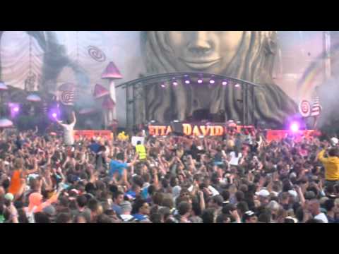Crazy crowd during David Guetta at Tomorrowland 2011
