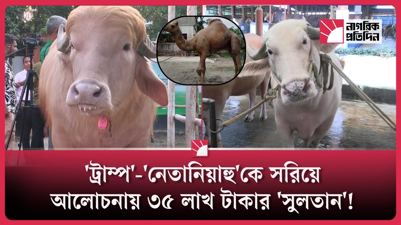 'ট্রাম্প' ও 'নেতানিয়াহু'কে হারাতে এবার মাঠে সুলতান!