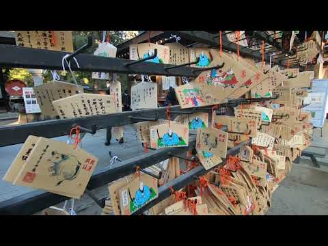 Takeda Jinja Shrine in Yamanashi Japan. Lets walk with me around the Japan. #Takeda #武田神社