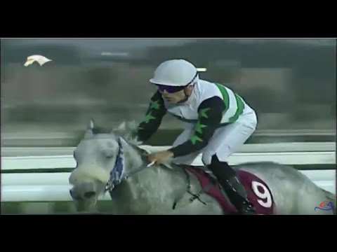 Cédric Ségeon - Al Jalila (11th Winner) [QATAR]