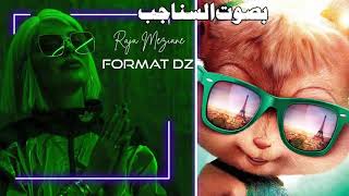 Raja Meziane - Format DZ (بصوت السناجب)