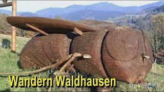 preview picture of video 'Wanderbares Waldhausen im Strudengau'