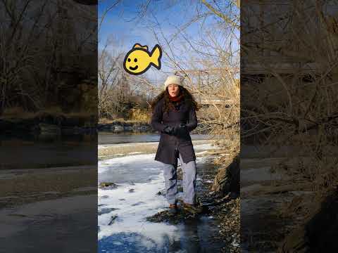 Road Salt Impacts the Environment