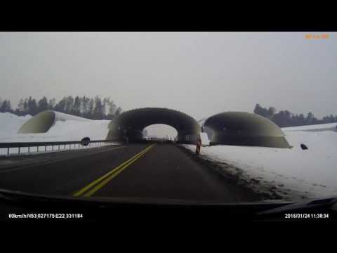 DK8/S8 Mężenin - Zambrów x3