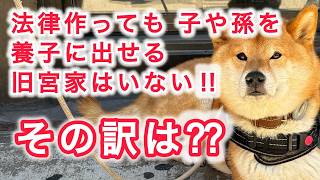 法律作っても子や孫を養子に出せる旧宮家はいない ! !