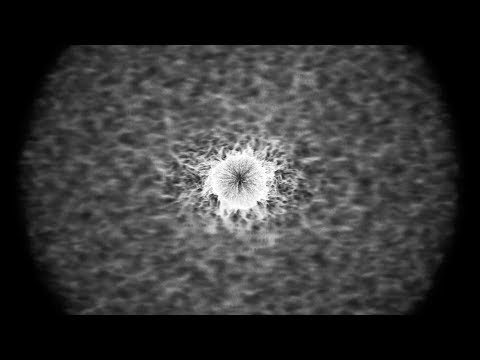 Trust - Max Cooper feat. Kathrin deBoer & Tom Hodge