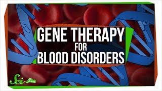 Changing DNA in a Cell With No DNA: Gene Therapy for Blood Disorders