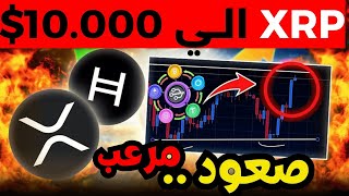 XRP قد يصل إلى 10000دولارًا بالفعل وها هو الدليل!! اخر اخبار ,الكريبتو,,دوج بيتكوين,اثريوم,باي نتورك