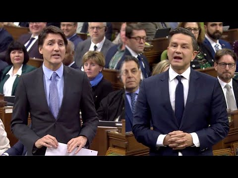 CAUGHT ON CAMERA Poilievre and Trudeau battle it out over farmers and the carbon tax
