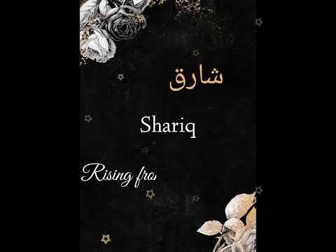 Shariq 🖤🌺 #whatsappstatus #shorts  #couplegoals #lovestatus