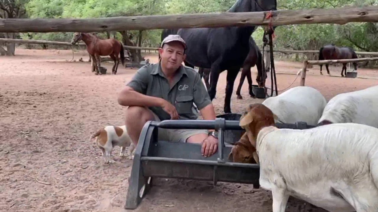 CdP Auctioneering Services - Online