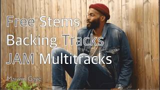 Sexual Healing - Marvin Gaye | Multitrack Stems & Backing Tracks (2026)