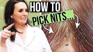 How to Remove Head Lice Eggs - Nit and Lice Picking