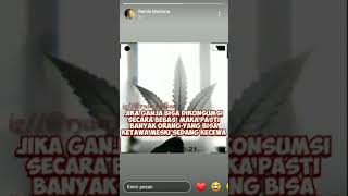 Download lagu Daun ganja mp3 Download lagu Daun ganja mp3