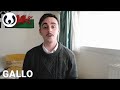 Listen to Gallo, a Romance language of Brittany, France | Anton speaking Gallo | Wikitongues