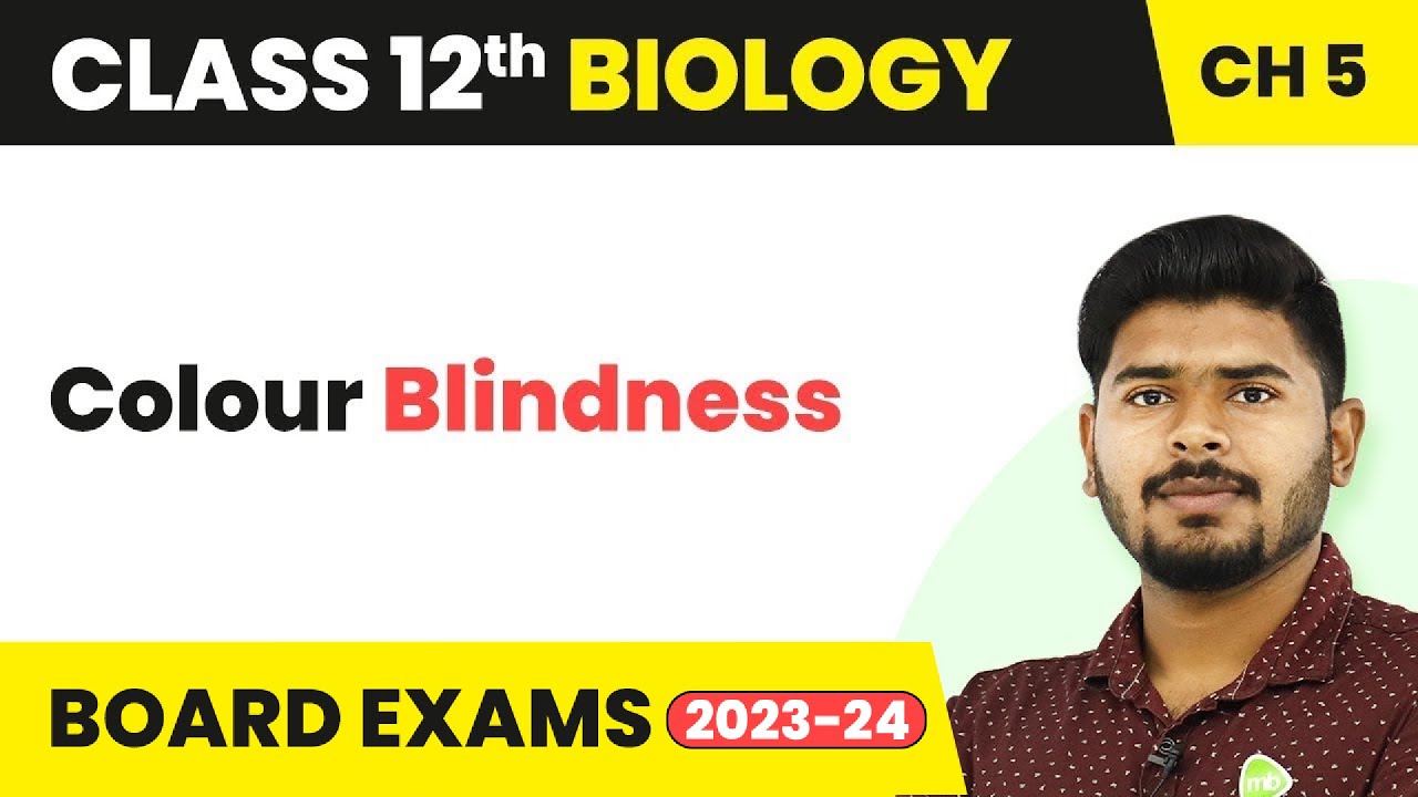 Colour Blindness - Principles of Inheritance and Variation | Class 12 Biology (2022-23)