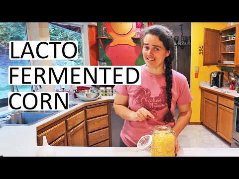 Lacto-Fermenting Corn - Soured Corn Is a Unique Condiment To Boost Your Gut Health