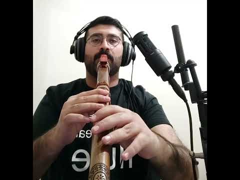 native American flute improvisation in D minor