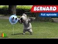 Bernard Bear 11 At The Theme Park