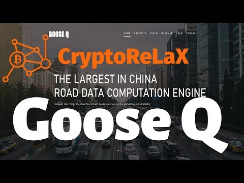 Обзор проекта Goose Q