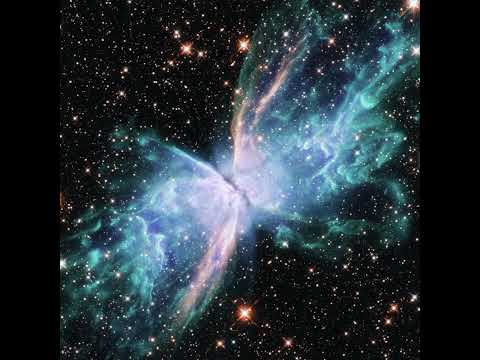 Fieldtree - I Am Liquid Eye