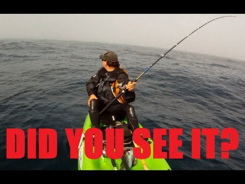 Mystery Ocean Creature Caught on GoPro While Kayak Fishing and still Unidentified!