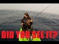 Mystery Ocean Creature Caught On GoPro While Kayak Fishing And Still Unidentified
