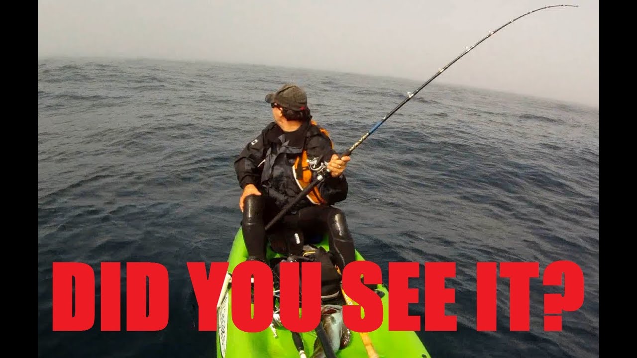 Mystery Ocean Creature Caught on GoPro While Kayak Fishing and still Unidentified!