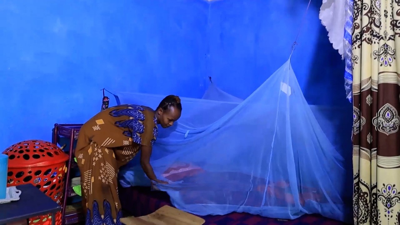 Malaria on the retreat: Epidemic response in South Ethiopia