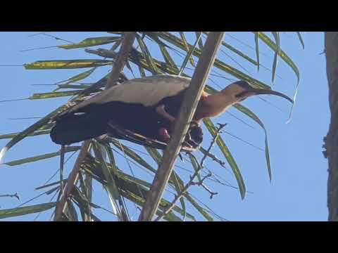 IMAGENS DE BOA ESPERANÇA - MINAS GERAIS